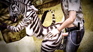 Personaggio di Far Cry fa sesso con una zebra